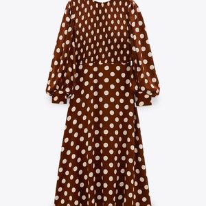Zara Polka Dot Dress